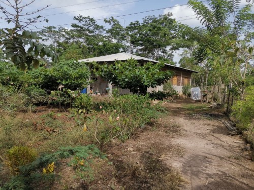 house from the outside with property