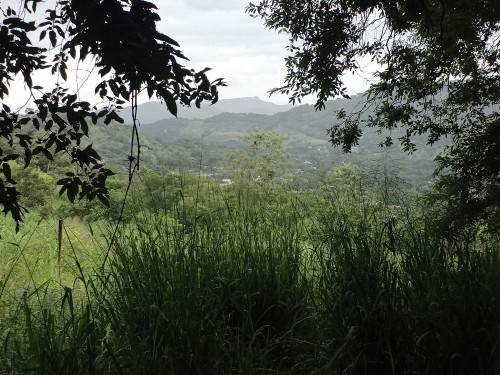view into the Matagalpa valley