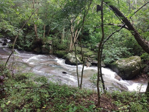 river of the natural reserve